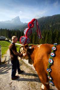 Almabtrieb im Berchtesgadaner Land