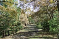 Hiking route on Mount Etna